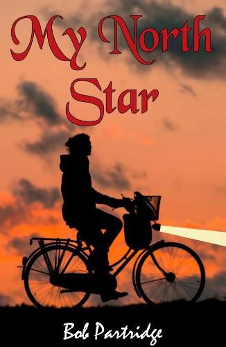 Cover image for My North Star