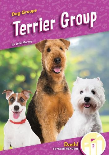 Cover image for Terrier Group
