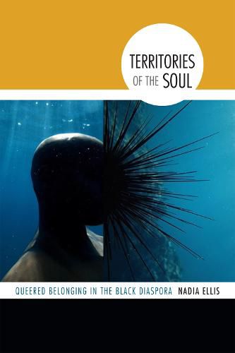 Cover image for Territories of the Soul: Queered Belonging in the Black Diaspora