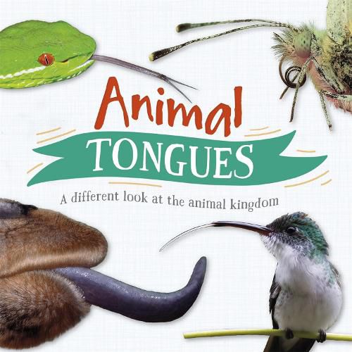 Animal Tongues: A different look at the animal kingdom