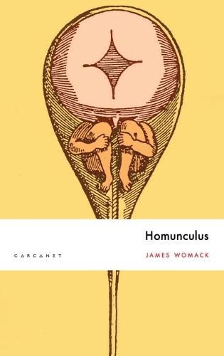 Cover image for Homunculus