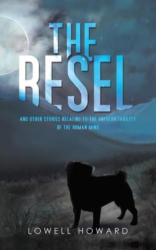 Cover image for The Besel