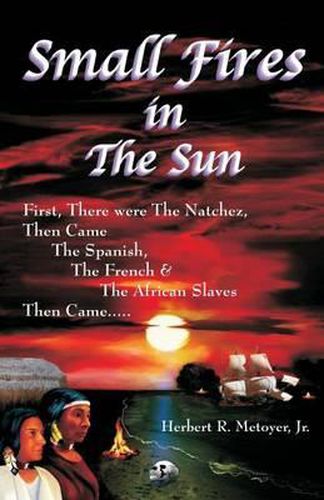 Cover image for Small Fires in the Sun