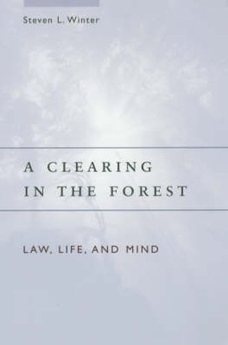 Cover image for A Clearing in the Forest