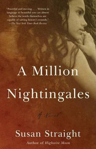 Cover image for A Million Nightingales