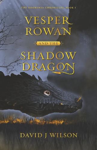 Vesper Rowan and the Shadow Dragon: Volume 1