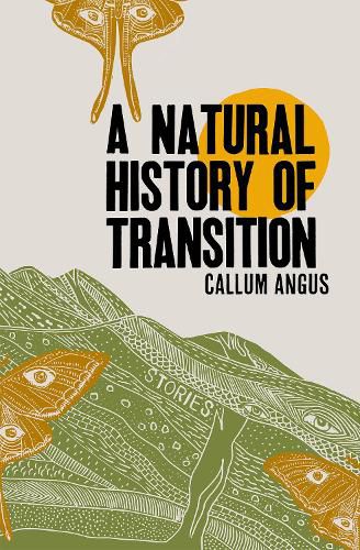 Cover image for A Natural History Of Transition: Stories