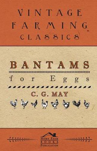 Cover image for Bantams for Eggs