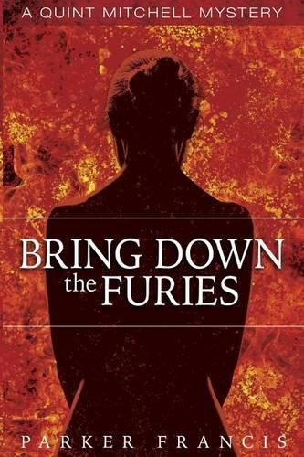 Cover image for Bring Down the Furies