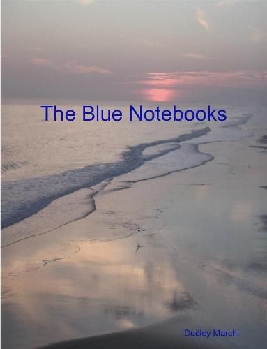 Cover image for The Blue Notebooks