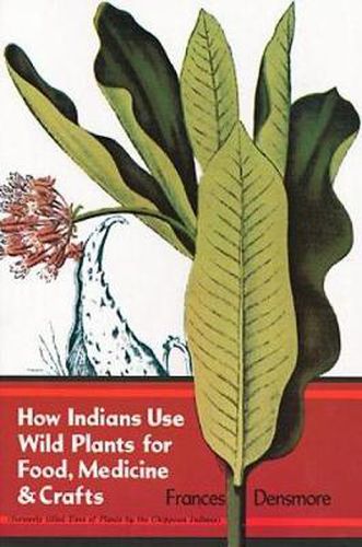 Cover image for How Indians Use Wild Plants for Food, Medicine and Crafts