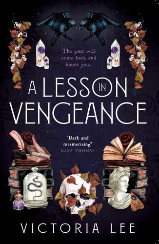 Cover image for A Lesson in Vengeance