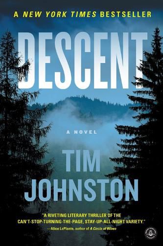 Cover image for Descent: A Novel