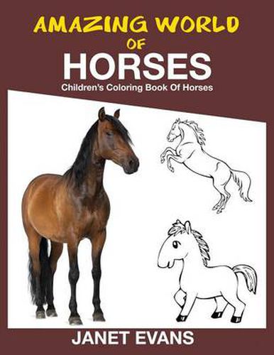 Cover image for Amazing World of Horses: Children's Coloring Book of Horses