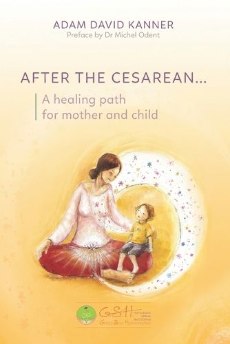 Cover image for After the Cesarean...
