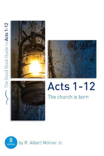 Acts 1-12: The Church is Born: Eight studies for groups or individuals