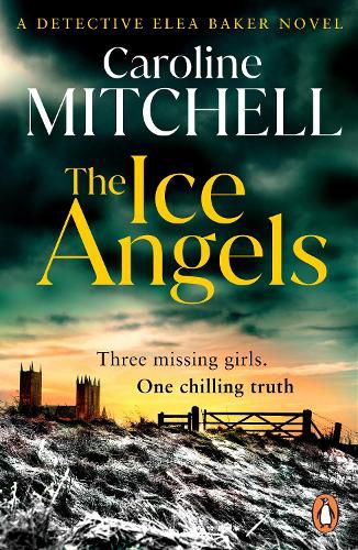 Cover image for The Ice Angels