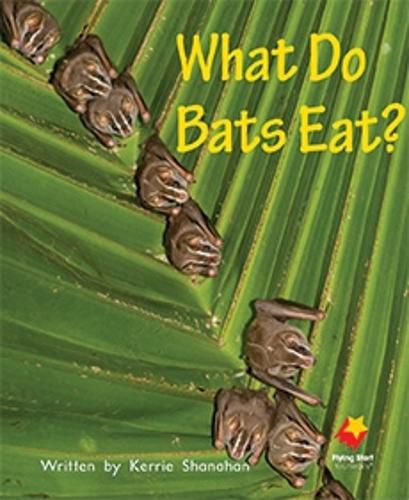 Cover image for What Do Bats Eat?