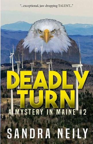 Cover image for Deadly Turn: A Mystery in Maine