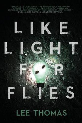 Cover image for Like Light for Flies: Stories