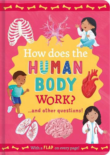 Cover image for How Does the Human Body Work?