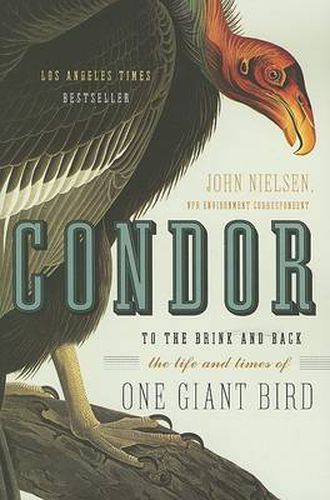 Cover image for Condor: To the Brink and Back--The Life and Times of One Giant Bird