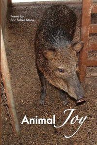 Cover image for Animal Joy