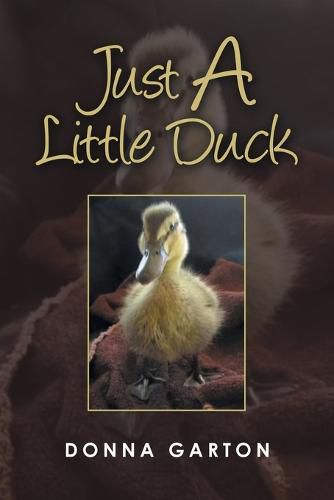 Cover image for Just a Little Duck