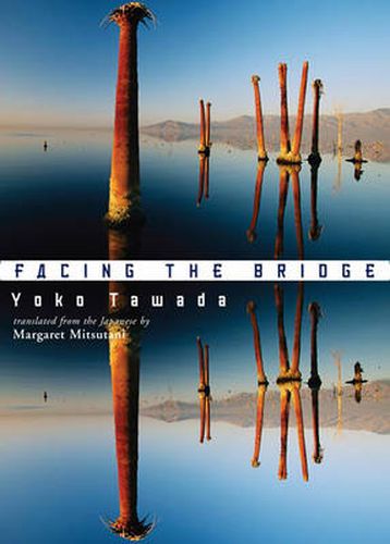 Cover image for Facing the Bridge