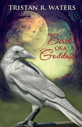 Cover image for Birth of a Goddess