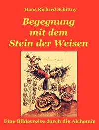 Cover image for Begegnung mit dem Stein der Weisen: Eine Bilderreise durch die Alchemie