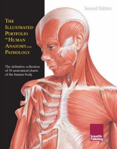 Cover image for Illustrated Portfolio of Human Anatomy & Pathology, 2nd Edition: The Definitive Collection of 30 Anatomical Charts of the Human Body