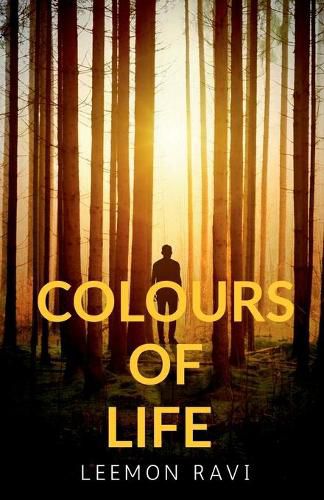 Cover image for Colors of Life: A brief journey through the intricacies of life situations