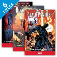 Cover image for Black Panther Set 2 (Set)