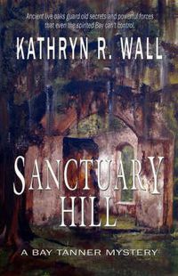 Cover image for Sanctuary Hill