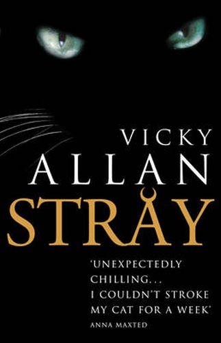 Cover image for Stray