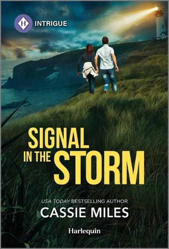 Cover image for Signal in the Storm