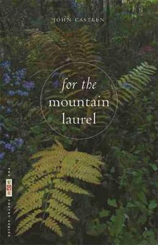 Cover image for For the Mountain Laurel