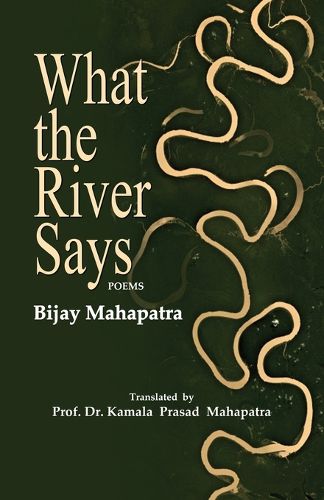 Cover image for What the River Says