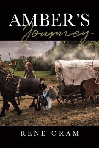 Cover image for Amber's Journey