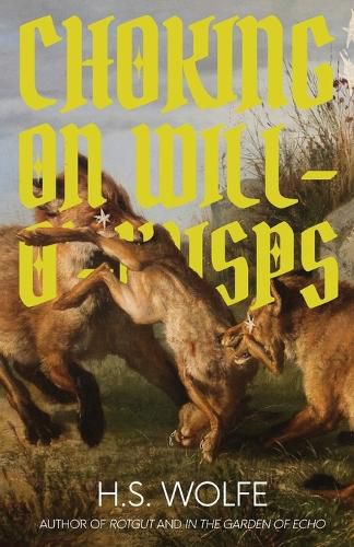 Cover image for Choking on Will-O'-Wisps