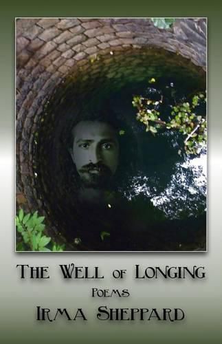 Cover image for The Well of Longing