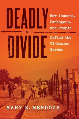 Cover image for Deadly Divide