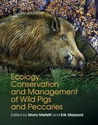 Cover image for Ecology, Conservation and Management of Wild Pigs and Peccaries