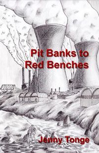 Cover image for Pit Banks to Red Benches: From the Black Country to the Lords