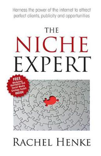 The Niche Expert: Harness the power of the internet to attract perfect clients, publicity and opportunities
