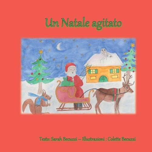 Cover image for Un Natale agitato