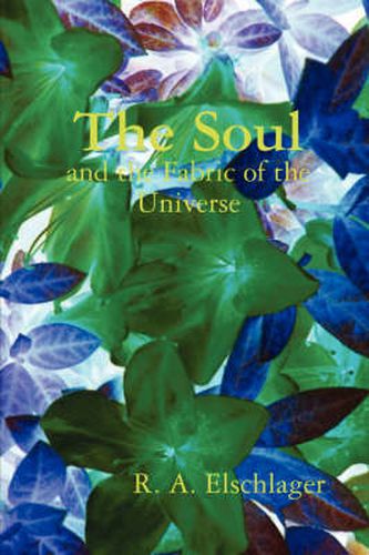 Cover image for The Soul and the Fabric of the Universe