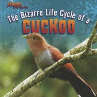 Cover image for The Bizarre Life Cycle of a Cuckoo