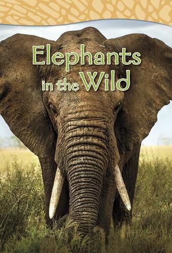Cover image for Elephants in the Wild